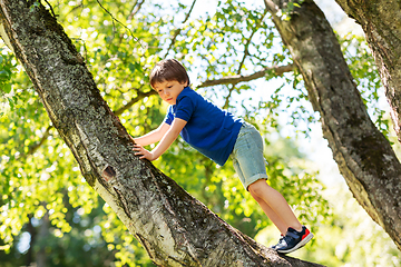 Image showing happy little boy climbing tree at park