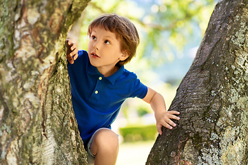 Image showing happy little boy climbing tree at park