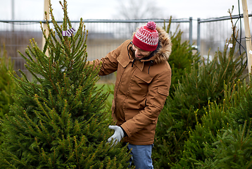 Image showing happy man choosing christmas tree at market