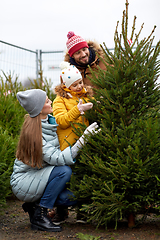 Image showing happy family choosing christmas tree at market