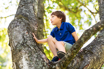 Image showing happy little boy climbing tree at park