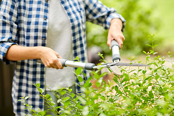 Image showing woman with pruner cutting branches at garden