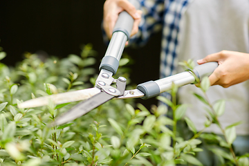 Image showing woman with pruner cutting branches at garden