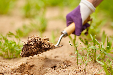 Image showing hand digging flowerbed ground with garden trowel