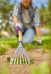 Image showing woman weeding flowerbed with rake at summer garden