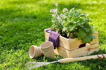 Image showing garden tools and flowers in wooden box at summer