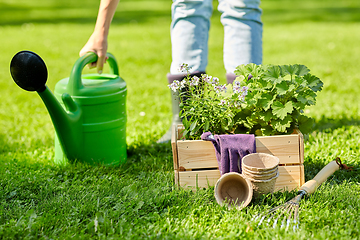 Image showing woman with garden tools in wooden box at summer