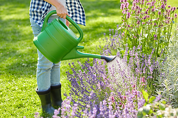 Image showing young woman watering flowers at garden