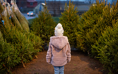 Image showing little girl choosing christmas tree at market