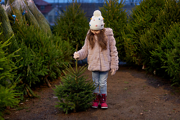 Image showing little girl choosing christmas tree at market