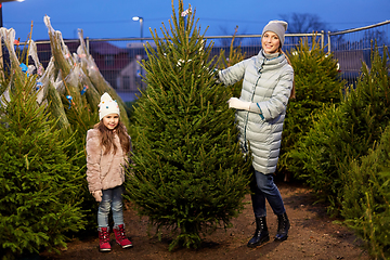 Image showing happy family choosing christmas tree at market