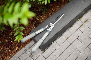 Image showing close up of pruner or pruning shearsat garden