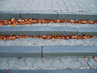 Image showing Stone stairs with figured tiles, orange leaves on surface