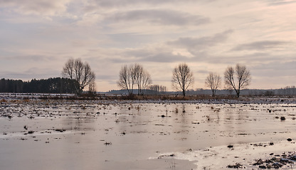 Image showing Springtime flooded field and trees