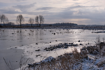 Image showing Springtime flooded field and trees