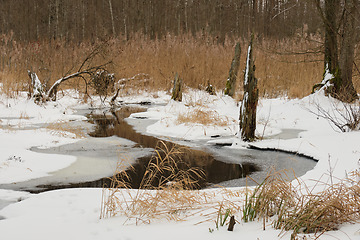 Image showing Winter landscape of frozen Lesna River