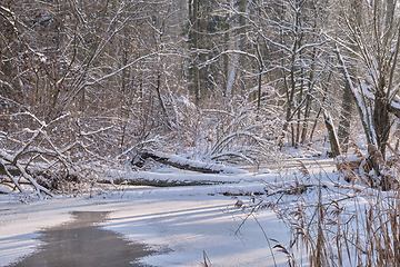 Image showing Winter landscape of frozen Lesna River