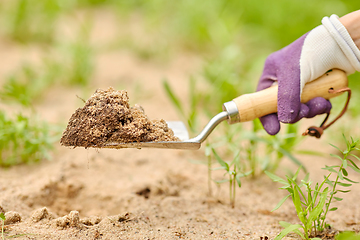 Image showing hand digging flowerbed ground with garden trowel