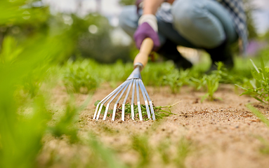 Image showing woman weeding flowerbed with rake at summer garden