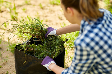 Image showing woman with bag full of weed at summer garden