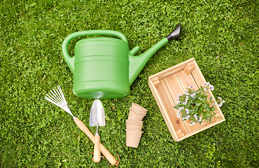 Image showing garden tools and flowers in wooden box at summer