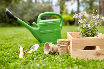 Image showing garden tools and flowers in wooden box at summer