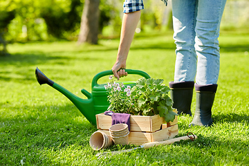 Image showing woman with garden tools in wooden box at summer