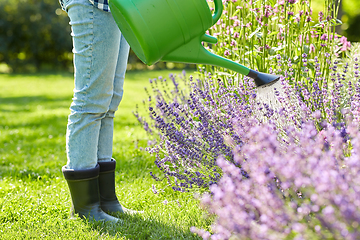 Image showing young woman watering flowers at garden