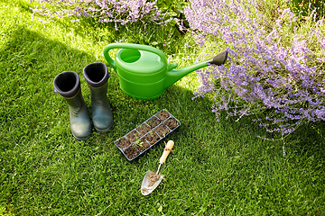 Image showing seedlings in starter pots tray with soil at garden