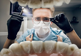 Image showing Doctor looking into the mouth, checking, examining teeth