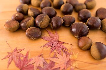 Image showing Dried maple leaves and chestnut