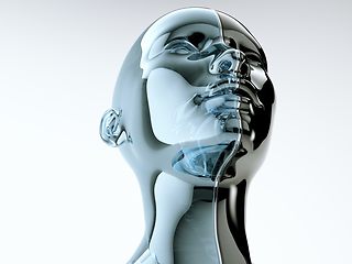 Image showing Glass human head separated by line as symbol of balance and dive