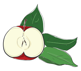 Image showing Sliced red apple vector or color illustration