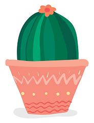 Image showing A dome shaped cactus plant with flower for the house decoration 