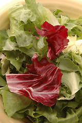 Image showing european salad 272