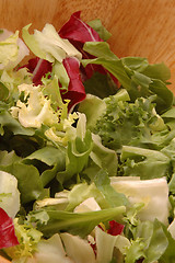 Image showing european salad 274