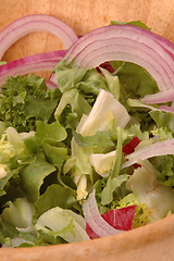 Image showing european salad 281