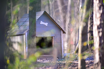 Image showing dog house in the wooded forest