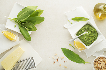 Image showing Wild garlic ramson pesto