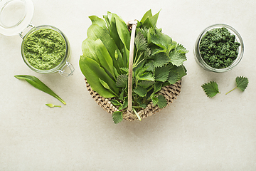 Image showing Pesto ramson wild garlic nettle