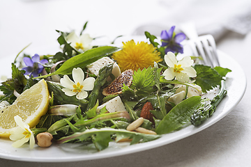 Image showing Spring salad