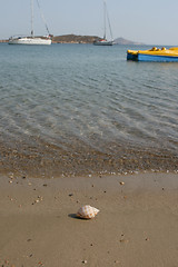 Image showing seashore yachts shell