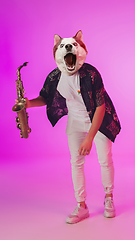 Image showing Talented dog, professional musician performing on pink background in neon light. Concept of music, hobby, festival, contemporary art collage. Modern design.