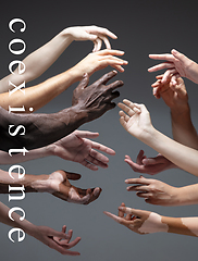 Image showing African and caucasian hands gesturing on gray studio background, tolerance and equality concept