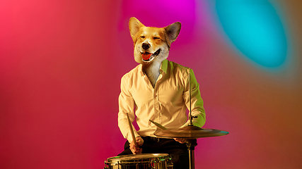 Image showing Talented dog, professional musician performing on multicoloted background in neon light. Concept of music, hobby, festival, contemporary art collage. Modern design.