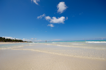 Image showing Exotic beach