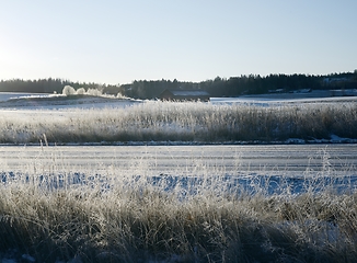 Image showing beautiful winter landscape in Finland, frozen grass glitter in t