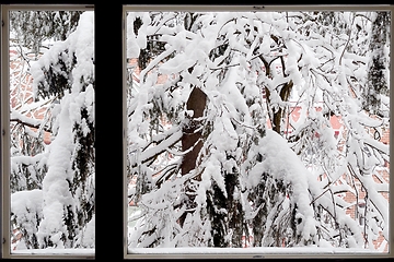 Image showing winter view from the window in Finland, fir branches covered wit