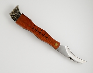 Image showing mushroom knife with brush on white 