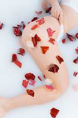 Image showing Close up female hip in the milk bath with soft white glowing and rose petals. Copyspace for advertising. Beauty, fashion, style, bodycare concept.